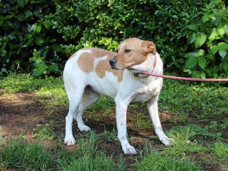 Zela - Z wie Zuckersüß und Zauberhaft