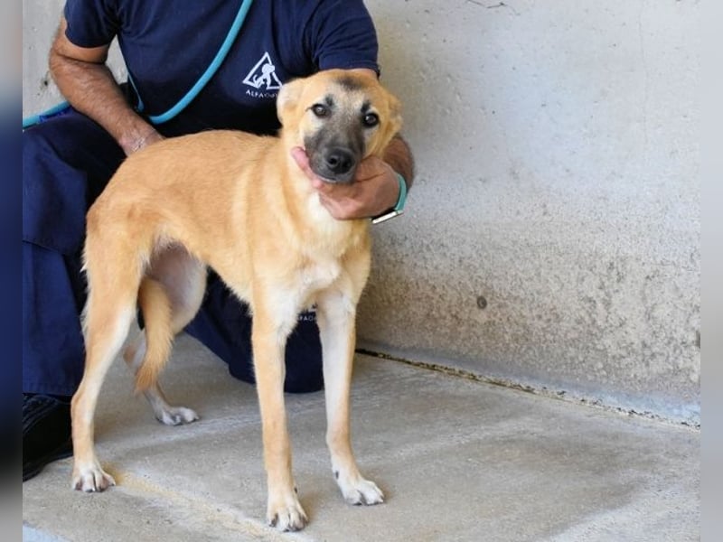 Olympia - "Und wenn sie nicht weg sind....