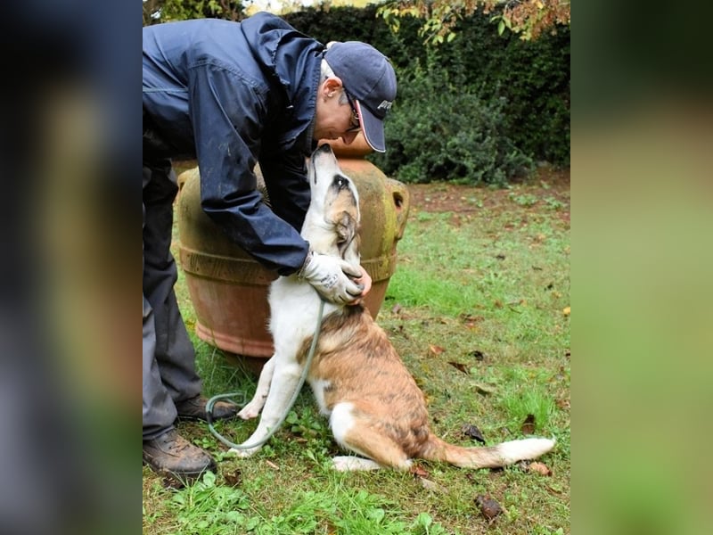 Milde - Ein Flüstern, das sagt: "Du bist sicher."