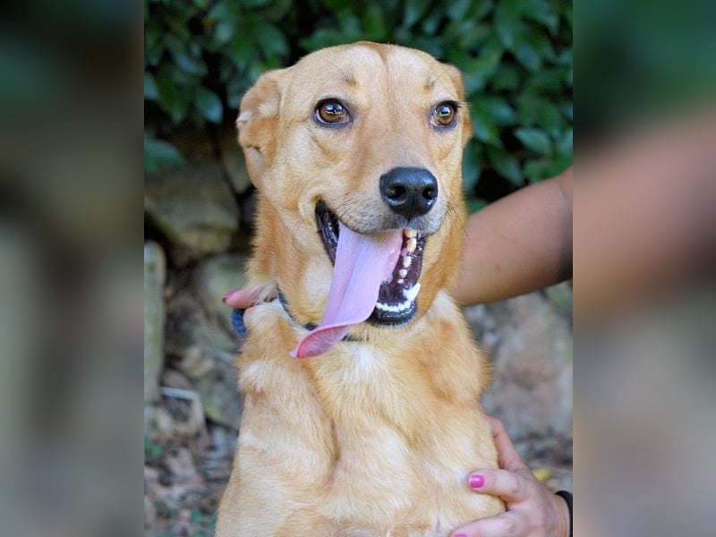 Lilyrose - als kleine Muschel ins Glück!