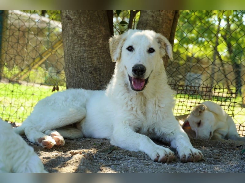 Tonia - Still, stark und voller Herz