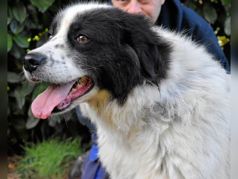 Puccie - unser liebes Mädchen...