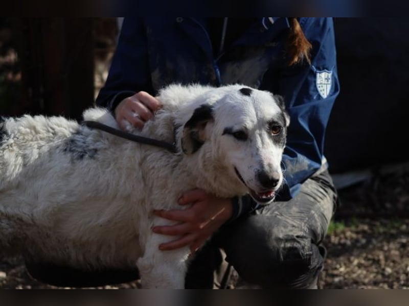 Marni - Dieses Herz hat schon zu lange gewartet