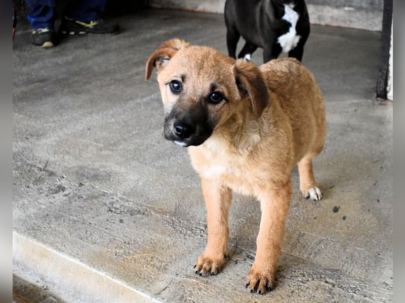 Mivelle - Es soll DEIN Leben werden