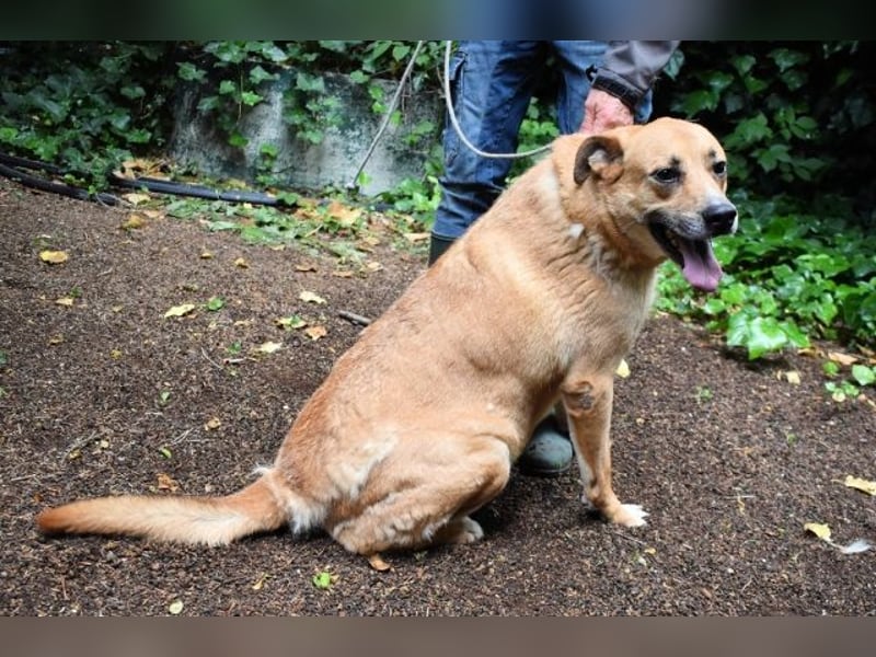 Cesny - Noch ist es nicht zu spät, aber es wird höchste Zeit!