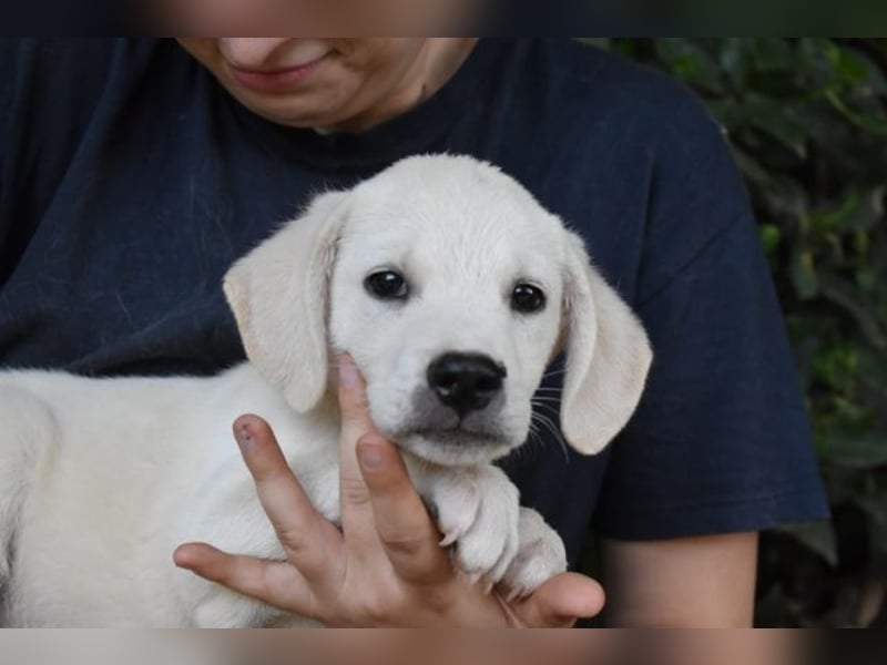 Mavius -...und Mama konnte es dir nicht zeigen