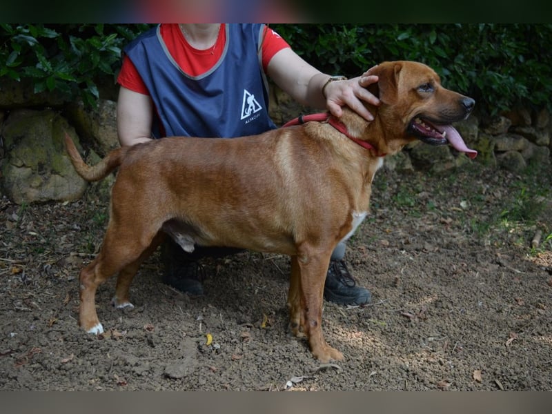 Freebie - Über Stock und Stein