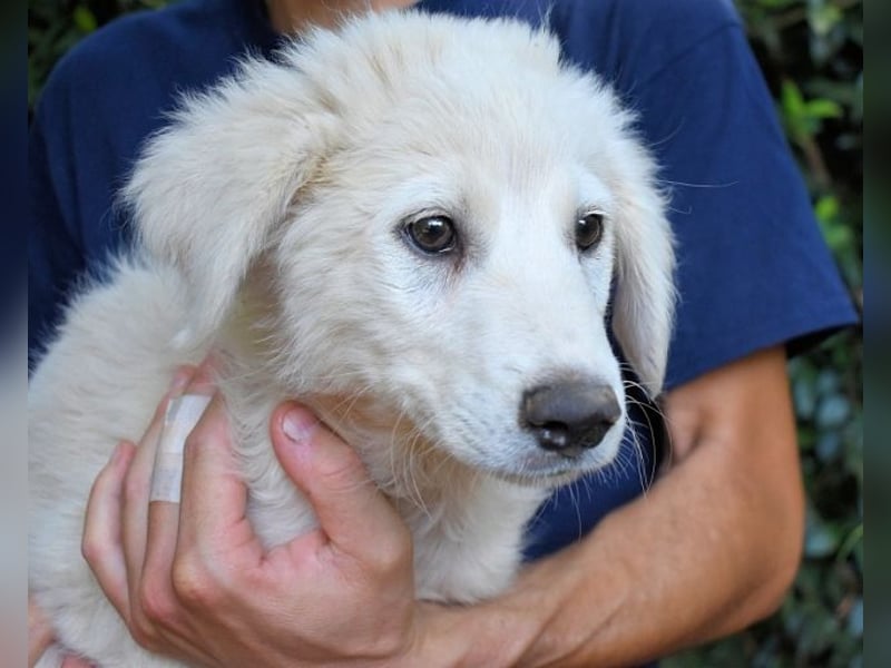 Franky - bereit für das Abenteuer Leben