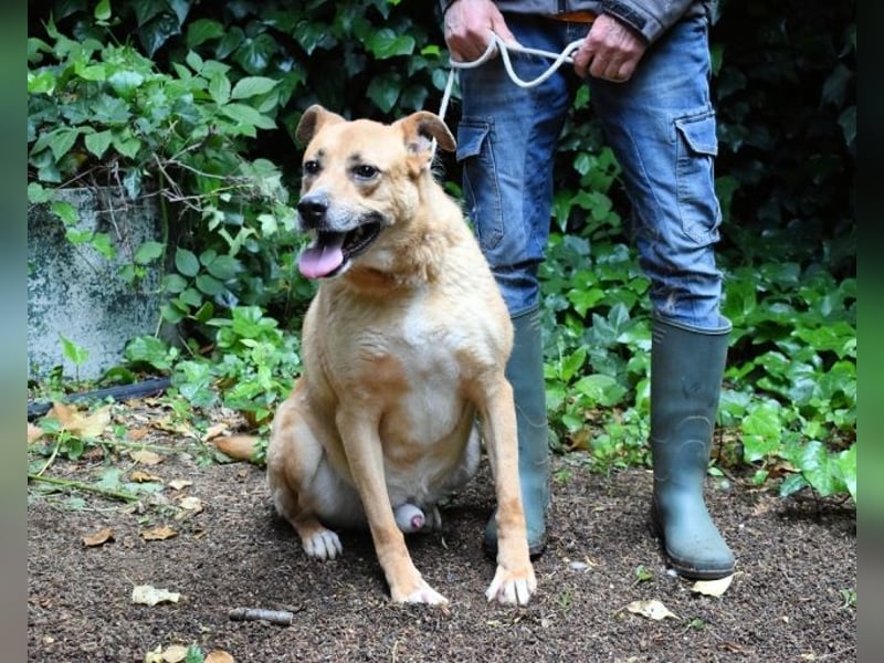 Cesny - Noch ist es nicht zu spät, aber es wird höchste Zeit!