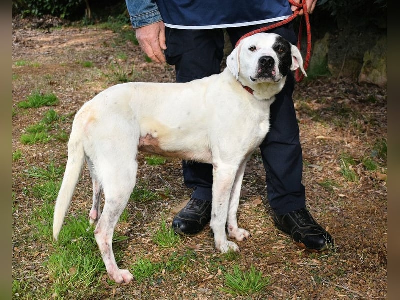 Olindina - Wie gut du bist, das zeigt sich an schlechten Tagen