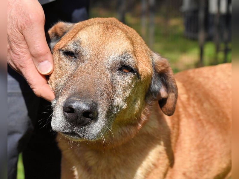 Nidal - Notfall - Was jetzt zählt