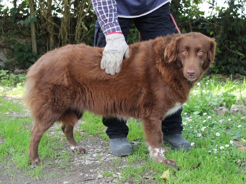 Beckey - Berufswunsch Prinzessin