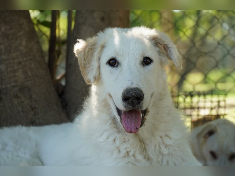 Tonia - Still, stark und voller Herz