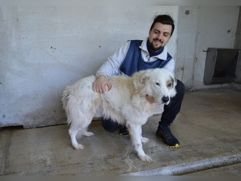 Bailoch - Zeig mir doch bitte...