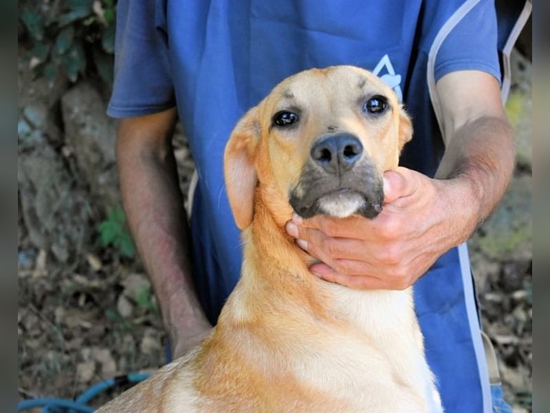 Ulbert - hat alles verloren