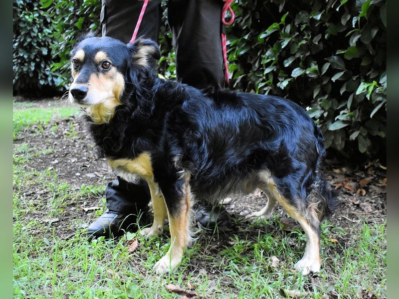 Daxter - Vollbremsung ins Leere