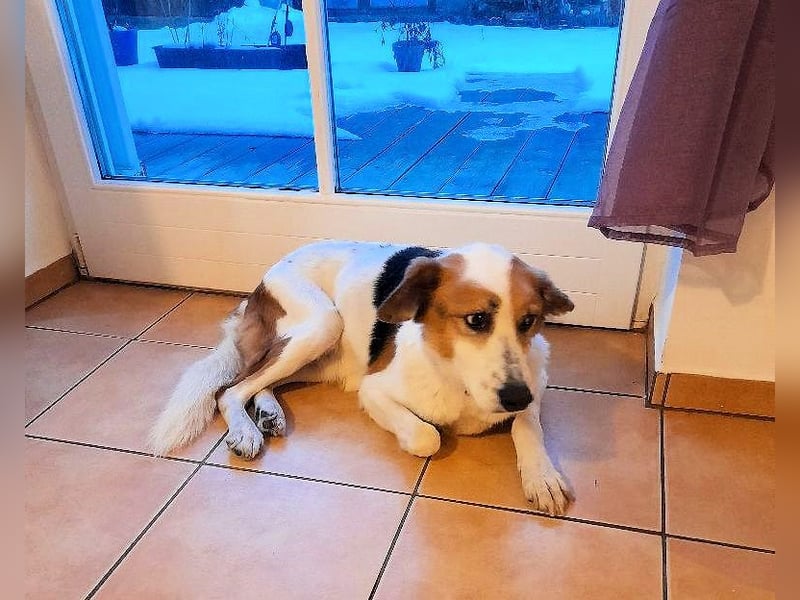 Elpidius - Ein Ziel ohne Plan bleibt nur ein Wunsch