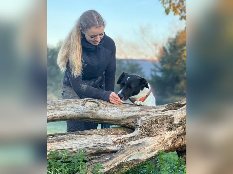 Phönix - Wege aus der Vergangenheit