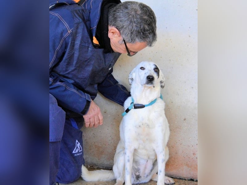 Arunny - aller guten Dinge sind drei