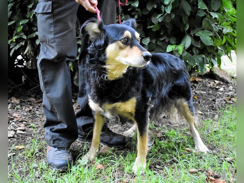 Daxter - Vollbremsung ins Leere
