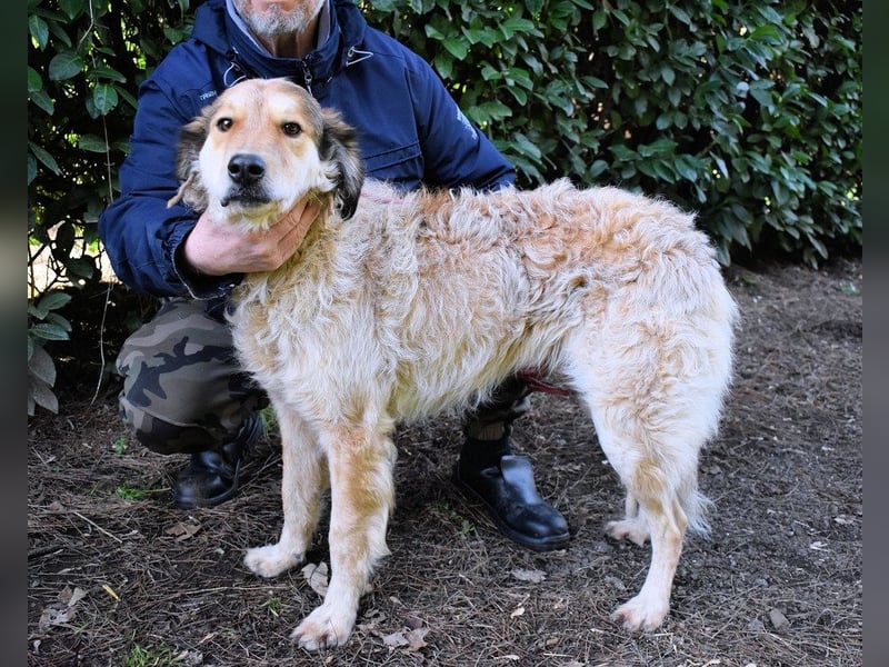 Ligorio - Zwölf, elf, zehn ... eins - Ligorio