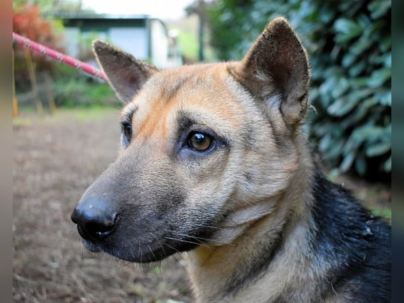 Alvida - warum tun sie das?