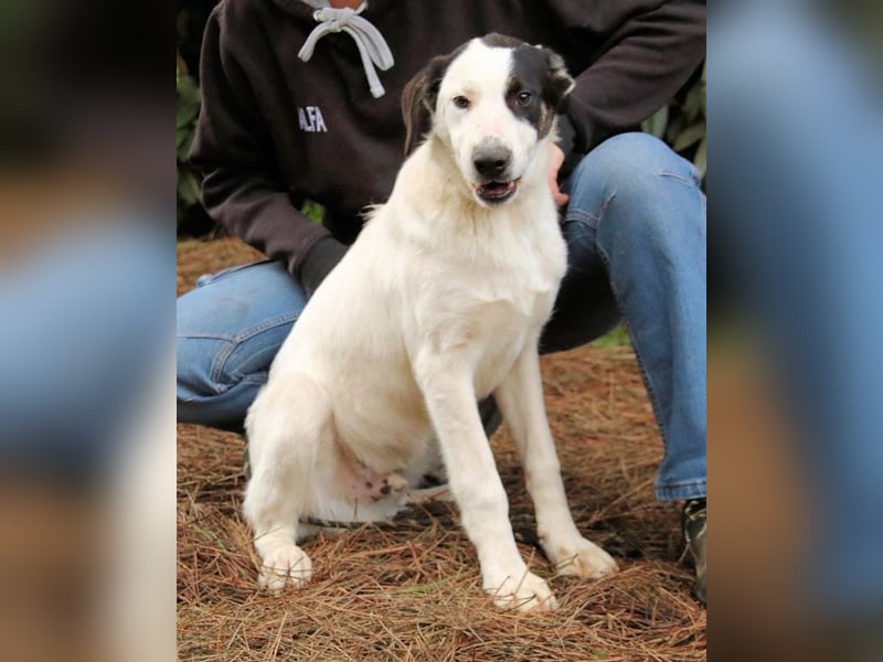 Marius - We proudly present...