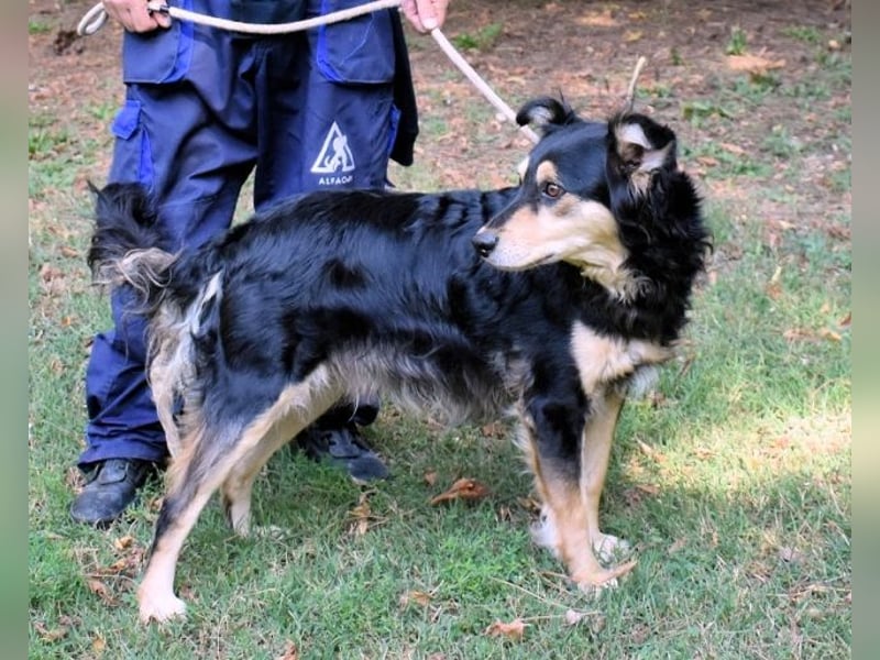 Daxter - wann darf sein Leben beginnen? Daxter - wann darf sein Leben beginnen?