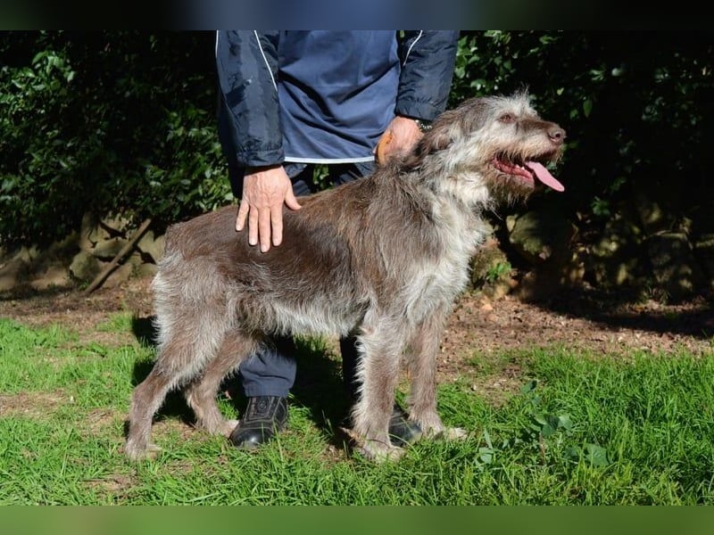 Minnie - Nach 7 Jahren Unglück endlich 7 Jahre Glück?