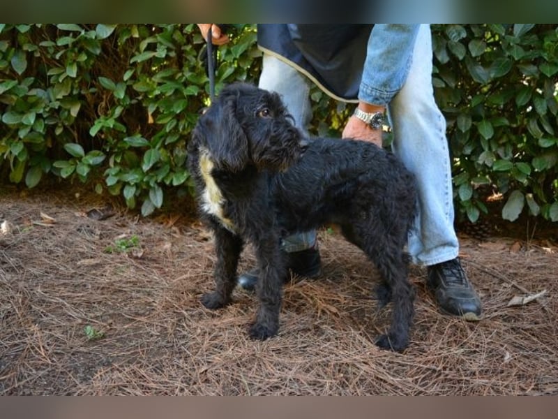 Elide - das doppelte Lottchen zu Edera