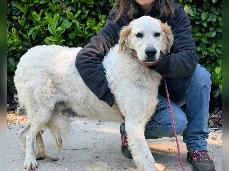 Kastore - Die Welt erkunden!