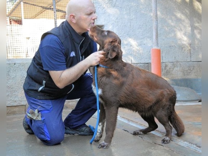 Beckey - Berufswunsch Prinzessin