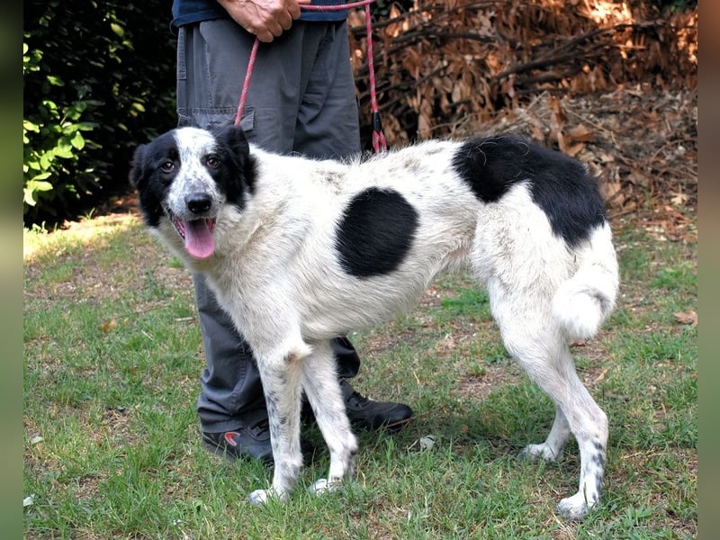 Jasmine - Wer nicht neugierig ist, erfährt nichts!