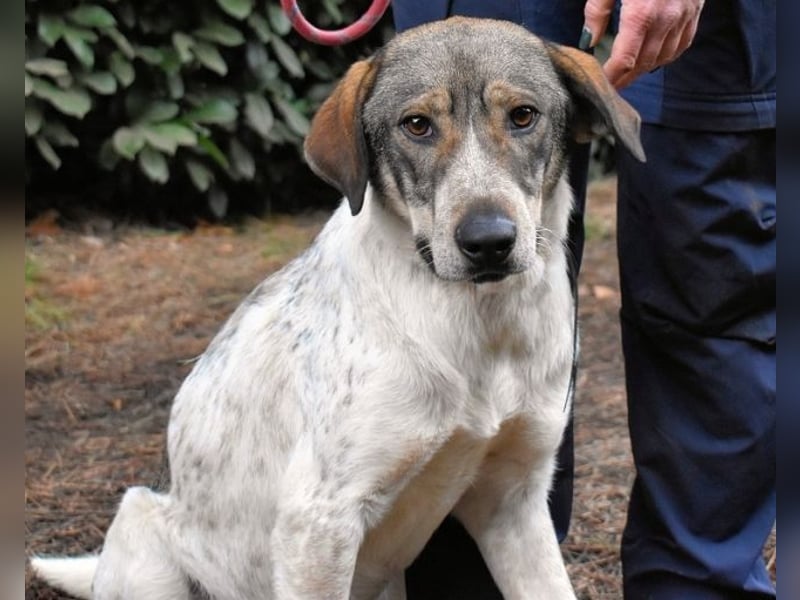 Helder - spricht für sich