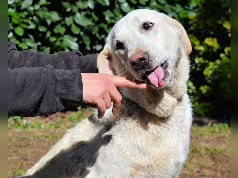 Shaydon - Ein riesiges Missverständnis!
