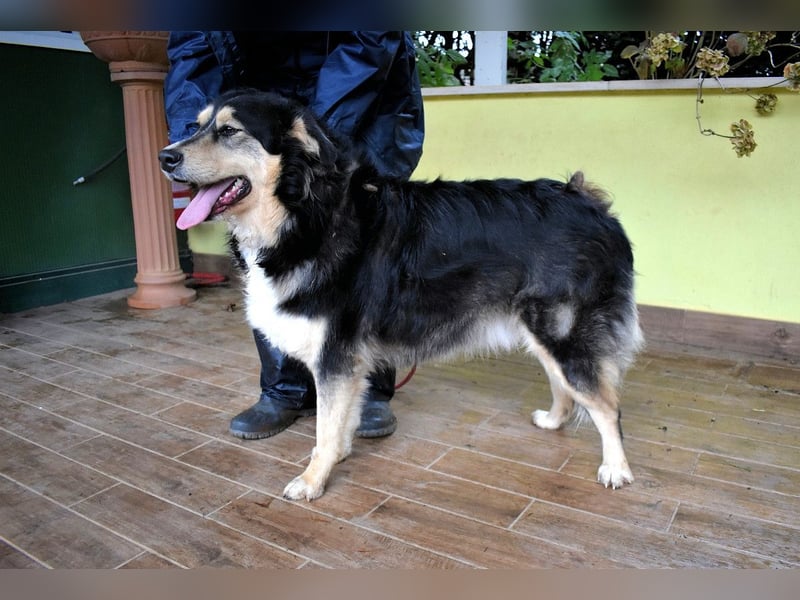 Oliverio - ohne Anklage hinter Gittern