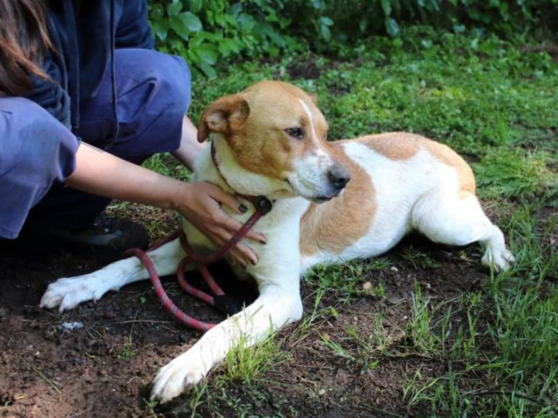 Zela - Z wie Zuckersüß und Zauberhaft