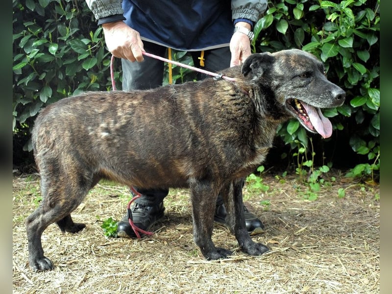 Fareeda - Wo die Schmetterlinge wohnen