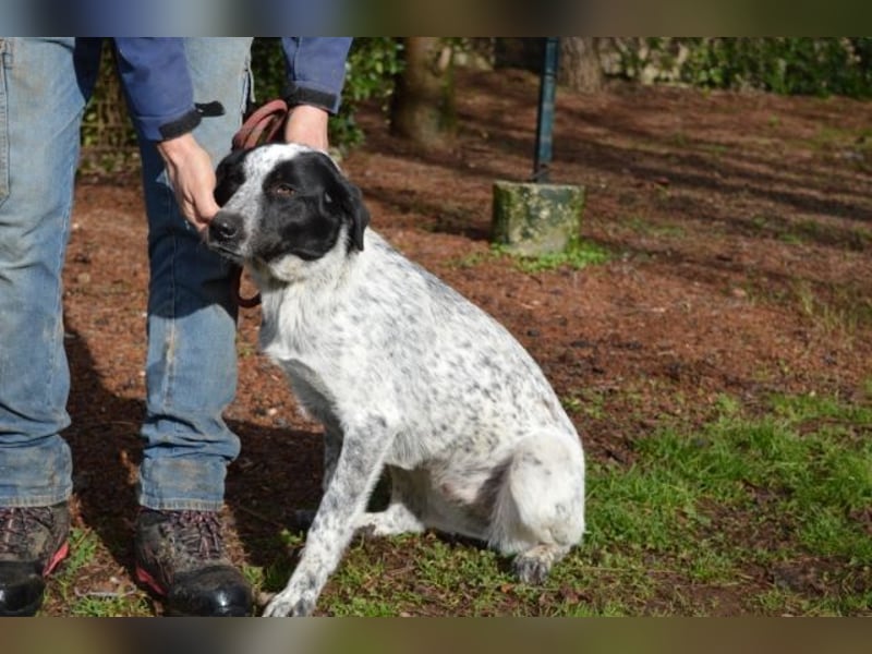 Flicka - möchte noch viel erleben