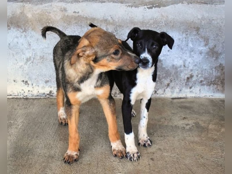 Mavette - Es soll DEIN Leben werden