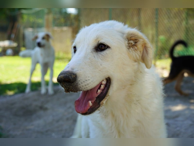 Tonia - Still, stark und voller Herz