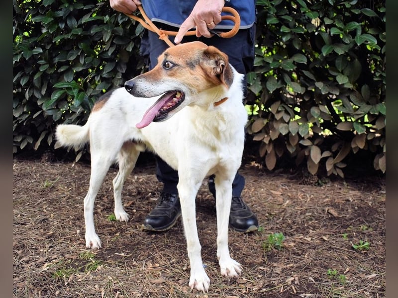 Kamyll - Der Platz neben dir