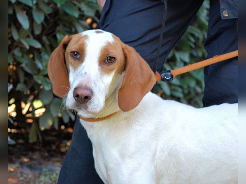 Samarie - Abenteuerlust und Kuschelzeit