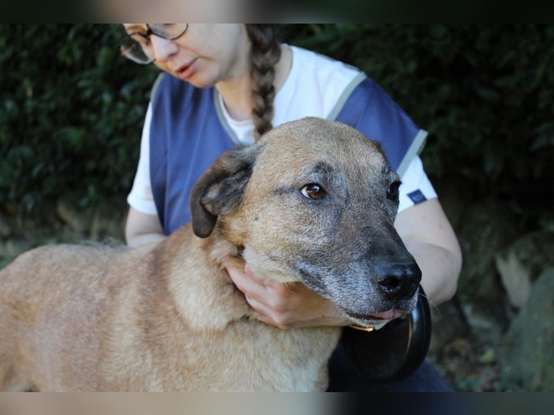 Nidal - Notfall - Was jetzt zählt