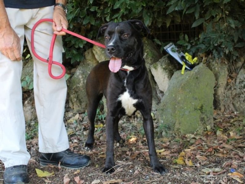 Sienna - Surferin der Herzen