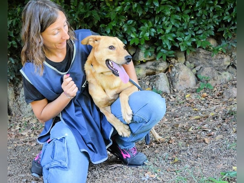 Lilyrose - als kleine Muschel ins Glück!