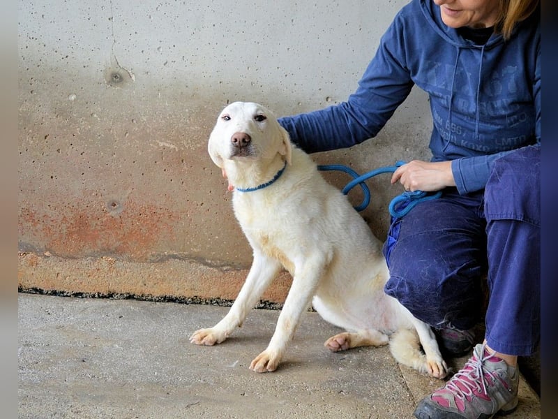 Arriel - aller guten Dinge sind drei