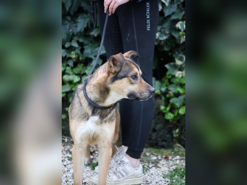 Aki - Verloren, gerettet, verlassen...