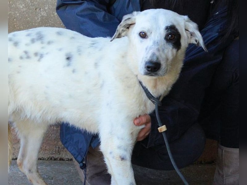 Arunny - aller guten Dinge sind drei