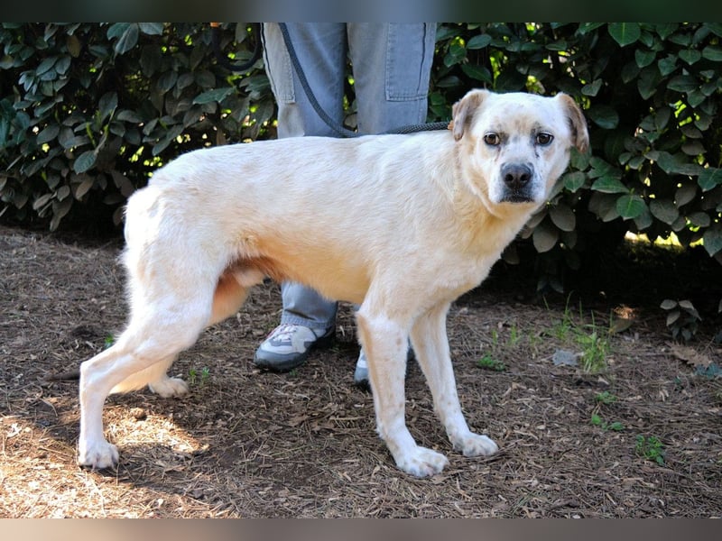 Jedd - Liebe auf den zweiten Stern